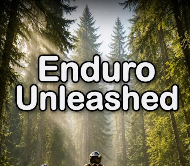 Enduro Unleashed — Steam, Standard