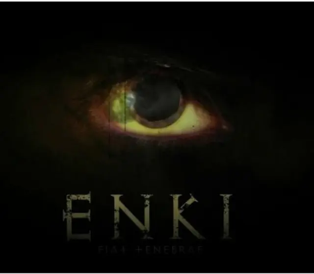Enki — Steam, Standard