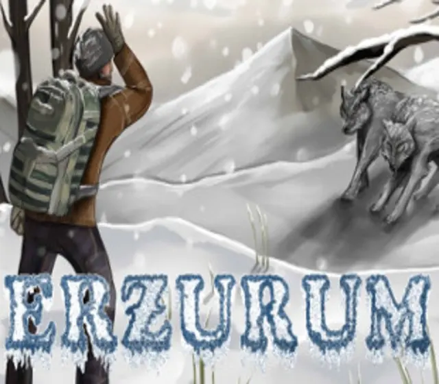 Erzurum — Steam, Standard