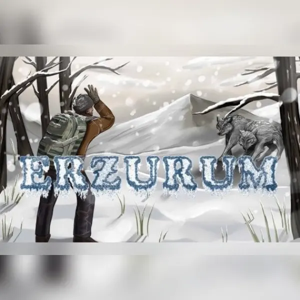 Erzurum — Steam, Standard