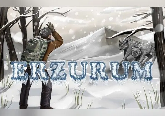 Erzurum — Steam, Standard