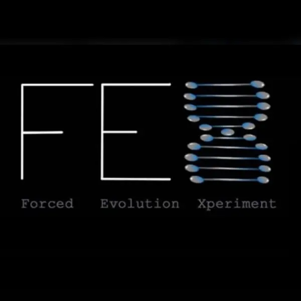 F.E.X (Forced Evolution Experiment) — Steam, Standard