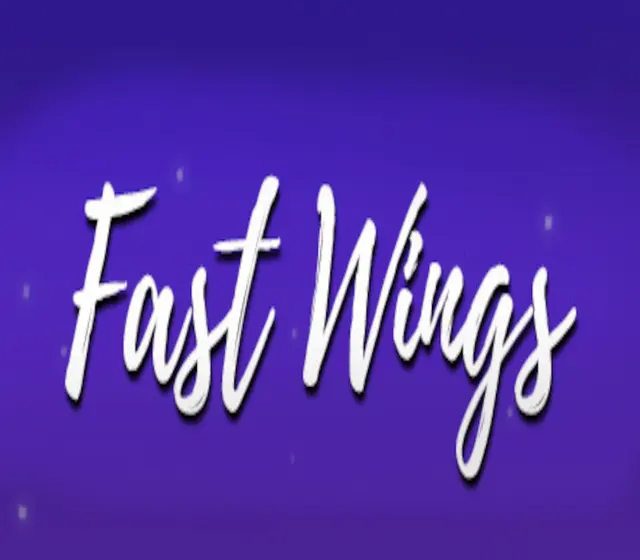 Fast Wings — Steam, Standard