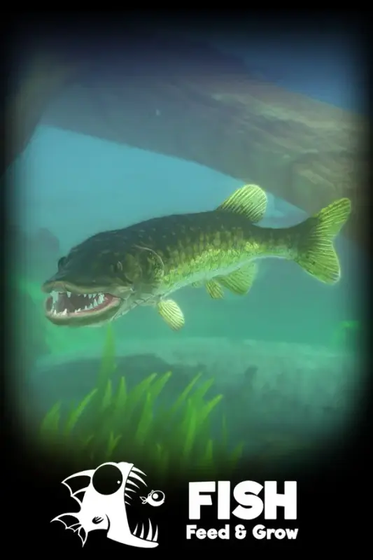 Feed and Grow Fish — Steam, Standard