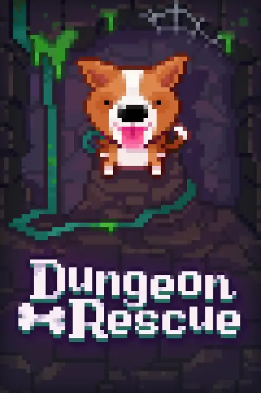 Fidel Dungeon Rescue — Steam, Standard