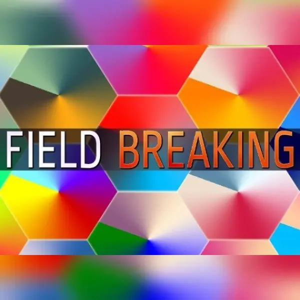 FIELD BREAKING — Steam, Standard