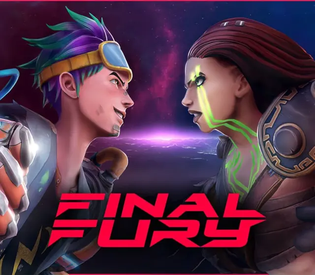 FINAL FURY — Steam, Standard