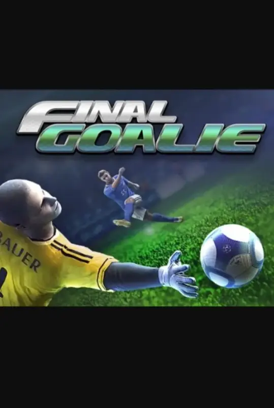 Final Goalie Football Simulator VR — Steam, Standard