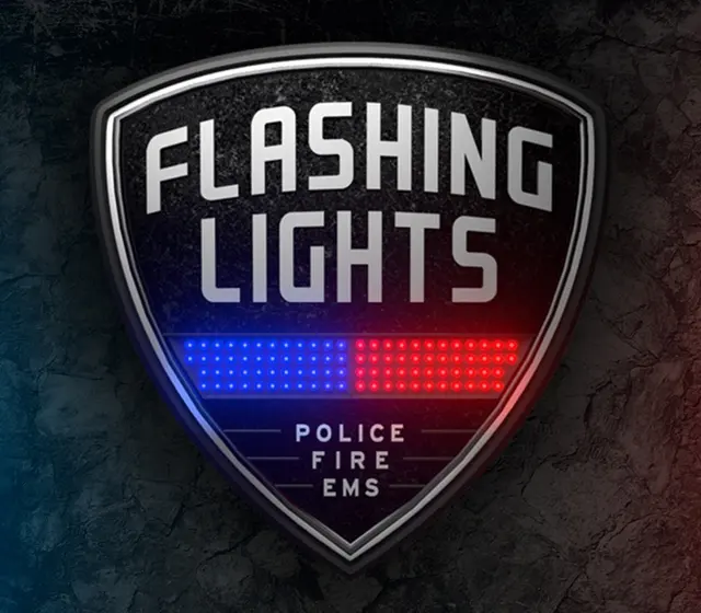 Flashing Lights - Police Fire EMS — Steam, Standard