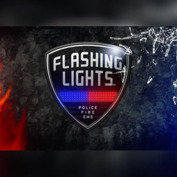 Flashing Lights - Police, Firefighting, Emergency Services Simulator — Steam, Standard