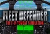 Fleet Defender: The F-14 Tomcat Simulation — Steam, Standard