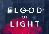 Flood of Light — Steam, Standard