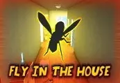 Fly in the House — Steam, Standard