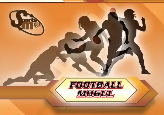 Football Mogul 15 EN — Steam, Standard