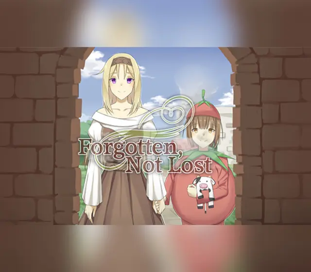 Forgotten, Not Lost — Steam, Standard
