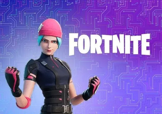 Fortnite - Wildcat Bundle DLC EN/DE/FR/IT — Nintendo Switch, Standard