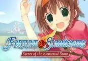 Fortune Summoners Steam Gift — Steam, Standard