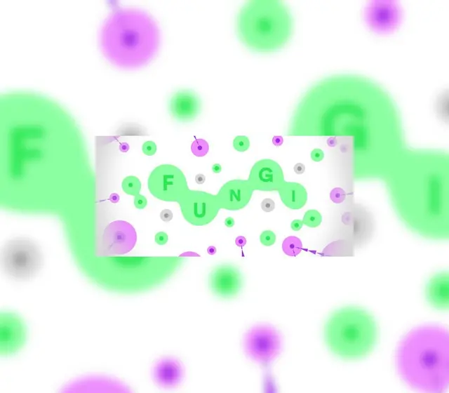FUNGI — Steam, Standard