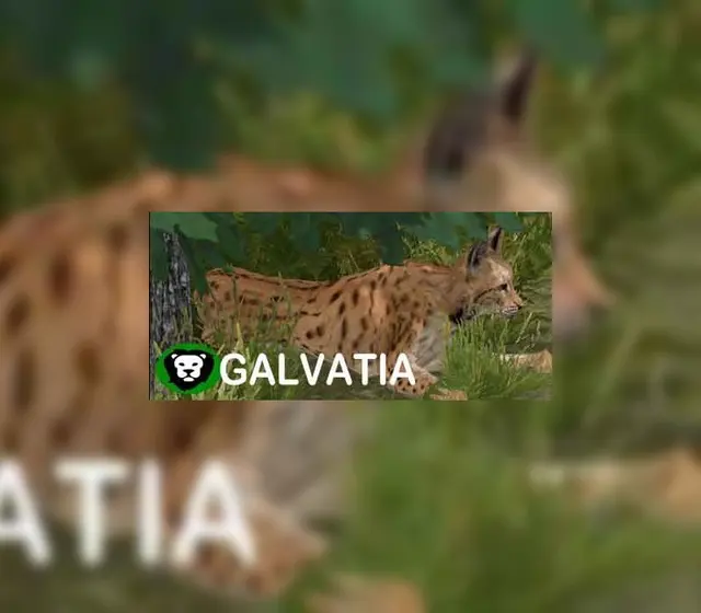 Galvatia — Steam, Standard