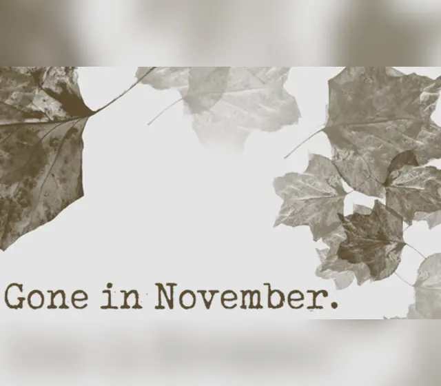 Gone In November - Collector's Edition Content DLC — Steam, Collector's Edition