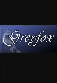 Greyfox RPG — Steam, Standard