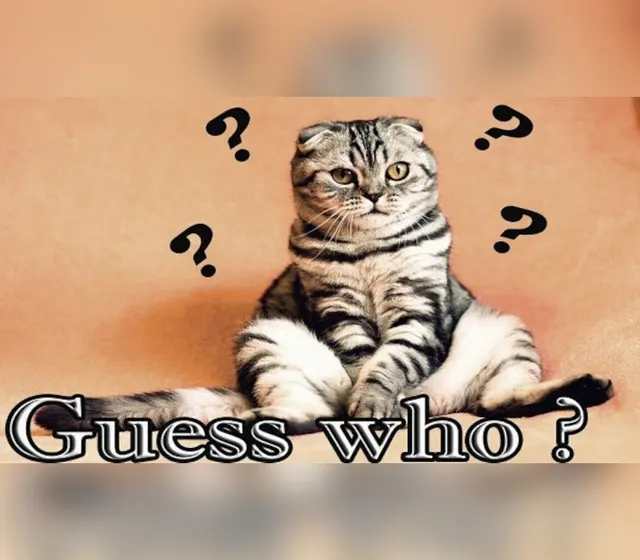 Guess who ? — Steam, Standard