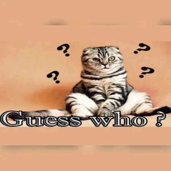 Guess who ? — Steam, Standard