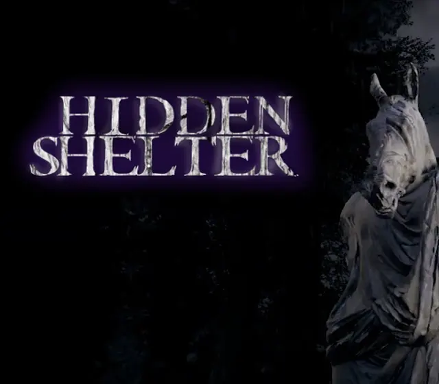 Hidden Shelter — Steam, Standard