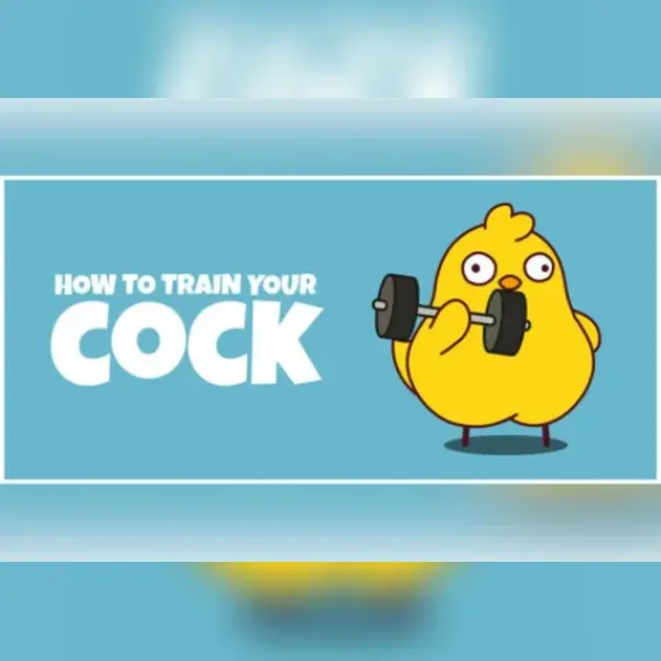How to Train Your Cock — Steam, Standard