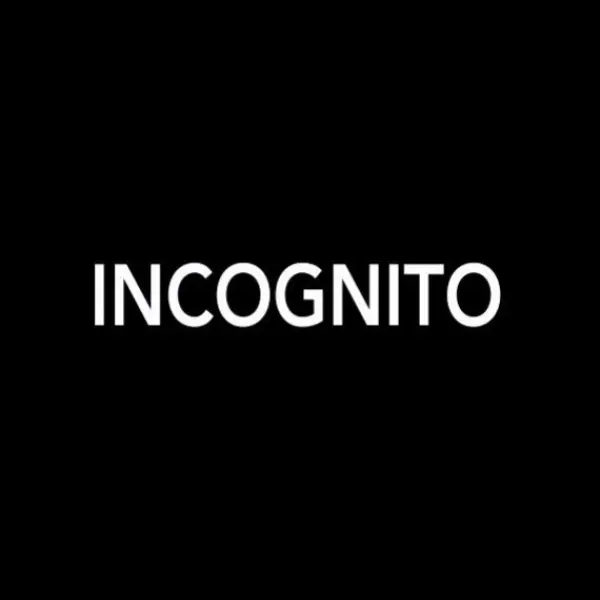 Incognito — Steam, Standard