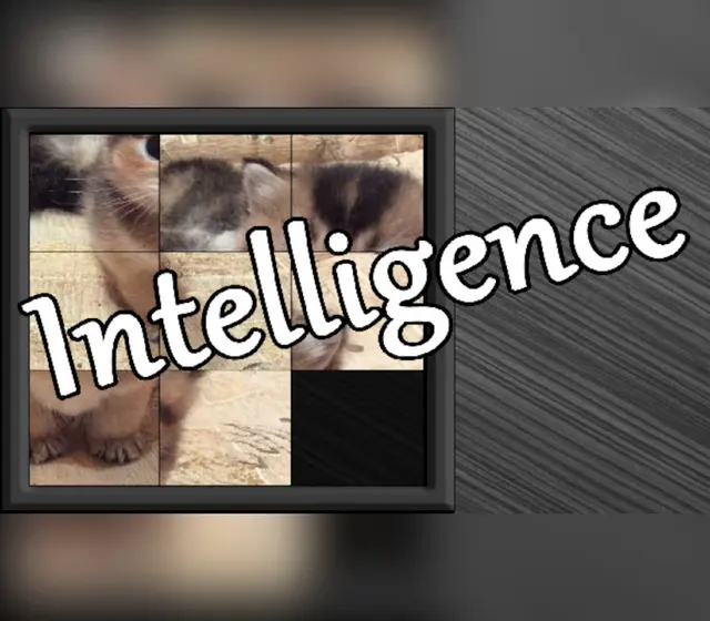 Intelligence — Steam, Standard
