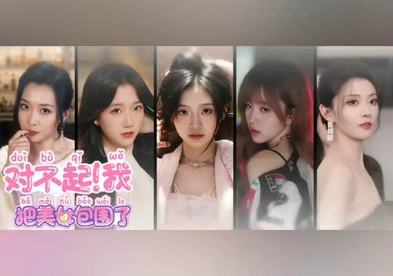 对不起！我把美女包围了 — Steam, Standard