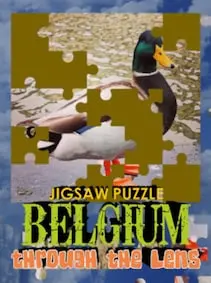 Jigsaw Puzzle: Belgium Through The Lens — Steam, Standard