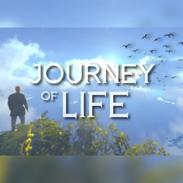 Journey Of Life — Steam, Standard