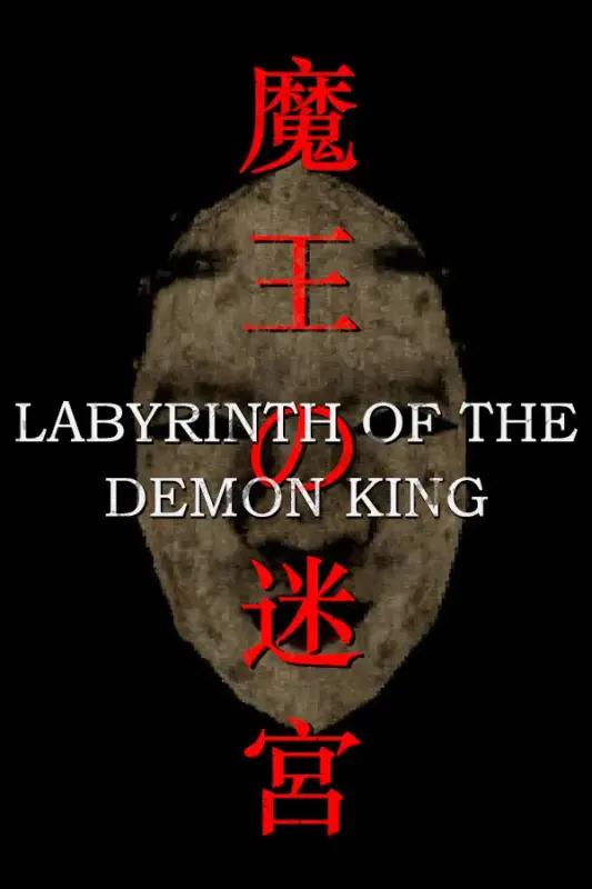 Labyrinth Of The Demon King — Steam, Standard