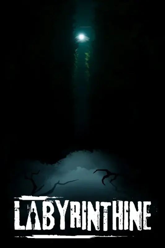 Labyrinthine — Steam, Standard