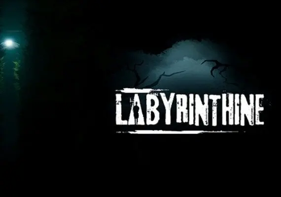Labyrinthine EN/DE/FR/NL — Steam, Standard