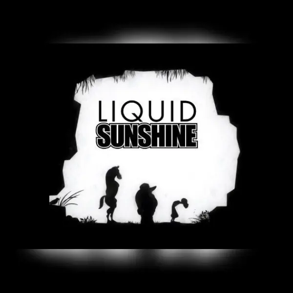 Liquid Sunshine — Steam, Standard