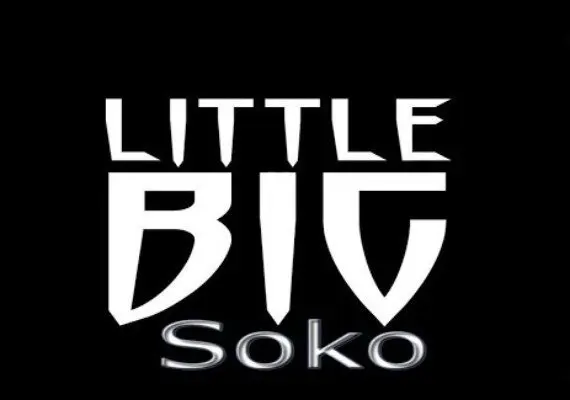 LittleBigSoko EN — Steam, Standard