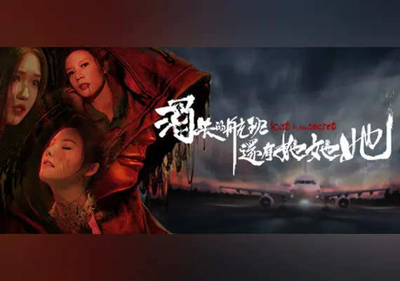 消失的航班，还有她她她！Lost in the secret! — Steam, Standard