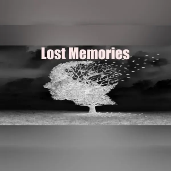 Lost Memories — Steam, Standard