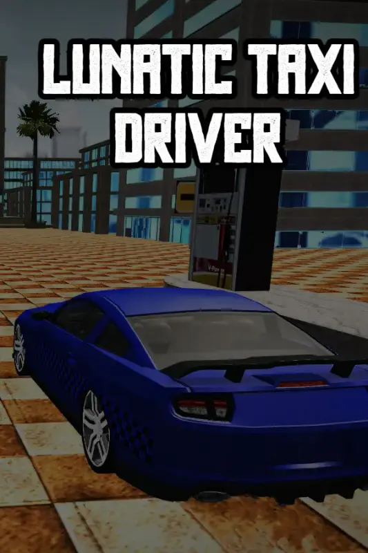 Lunatic Taxi Driver — Steam, Standard