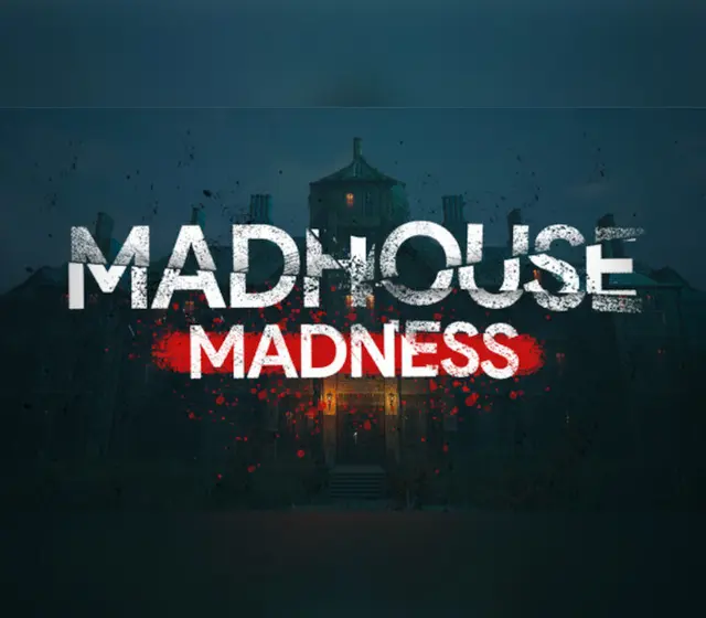 Madhouse Madness: Streamer's Fate — Steam, Standard