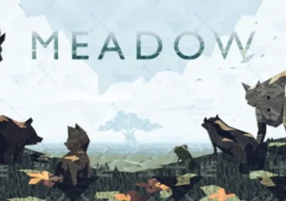 Meadow EN — Steam, Standard