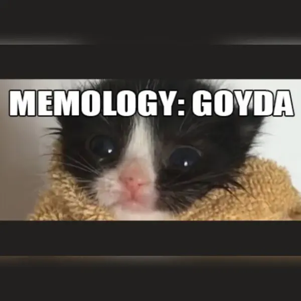 MEMOLOGY: GOYDA — Steam, Standard