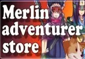 Merlin Adventurer Store — Steam, Standard