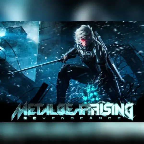 METAL GEAR RISING: REVENGEANCE — Steam, Standard