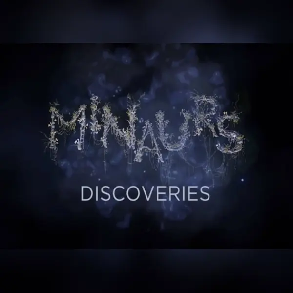 Minaurs — Steam, Standard