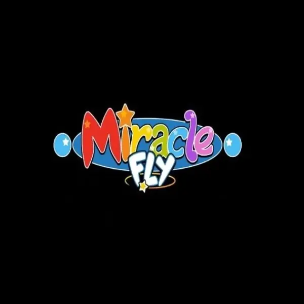 Miracle Fly — Steam, Standard