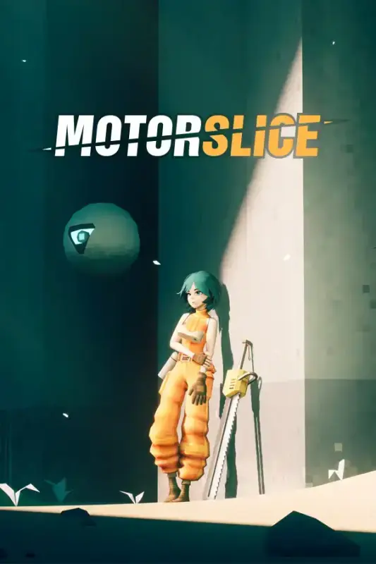 MOTORSLICE — Steam, Standard